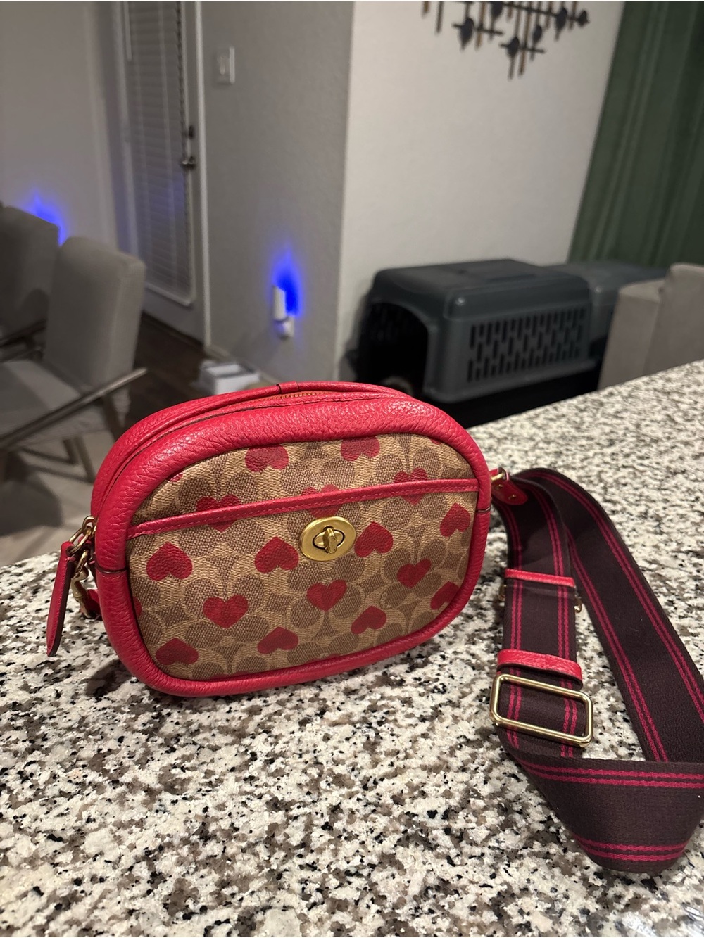 COACH Camera Bag In Signature Canvas With Heart Print